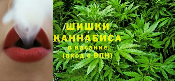 крисы Липки