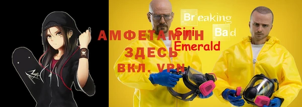 амф Арсеньев