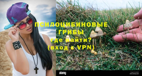 ешки Белоозёрский