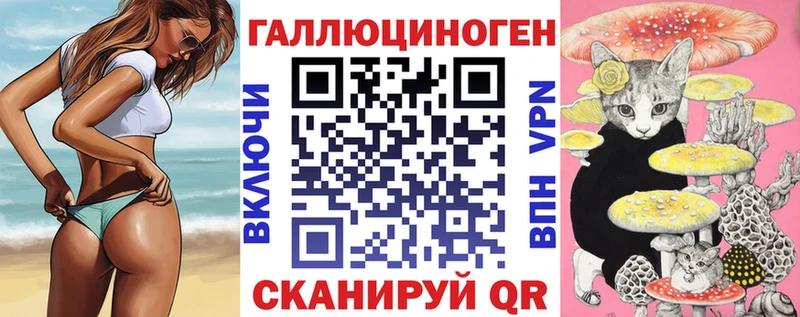 как найти   Строитель  Галлюциногенные грибы GOLDEN TEACHER 